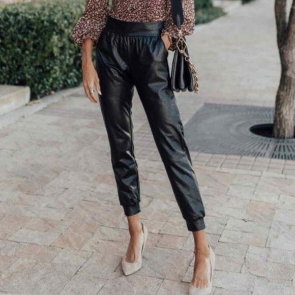 Aritzia Pants - Aritzia Babaton Black faux jogger Ankle Pants NWT